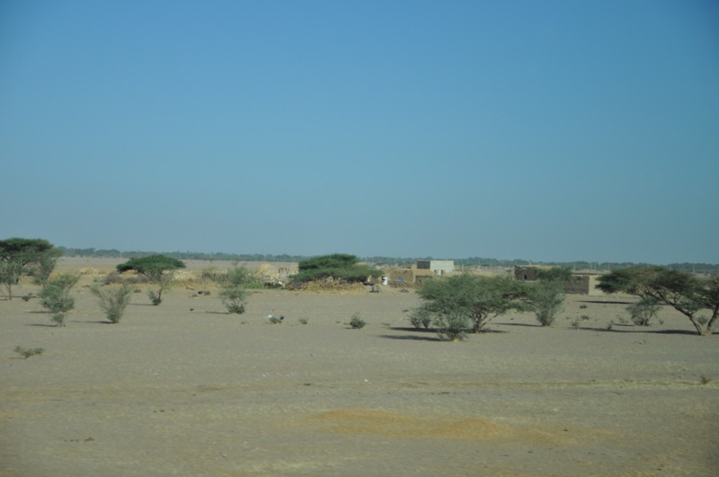DSC_0419.JPG