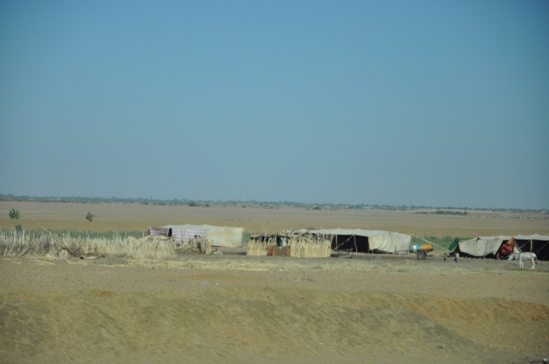 DSC_0424.JPG