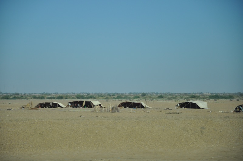 DSC_0426.JPG