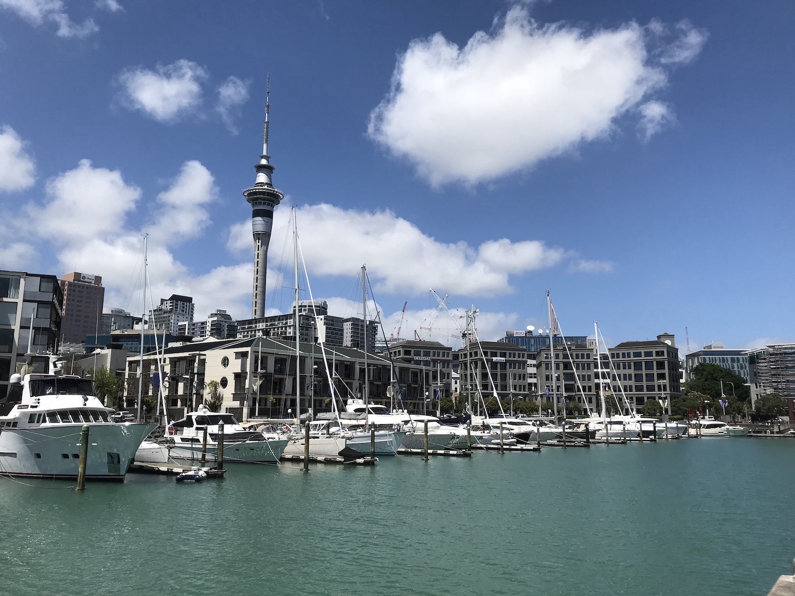 11-Auckland.jpg