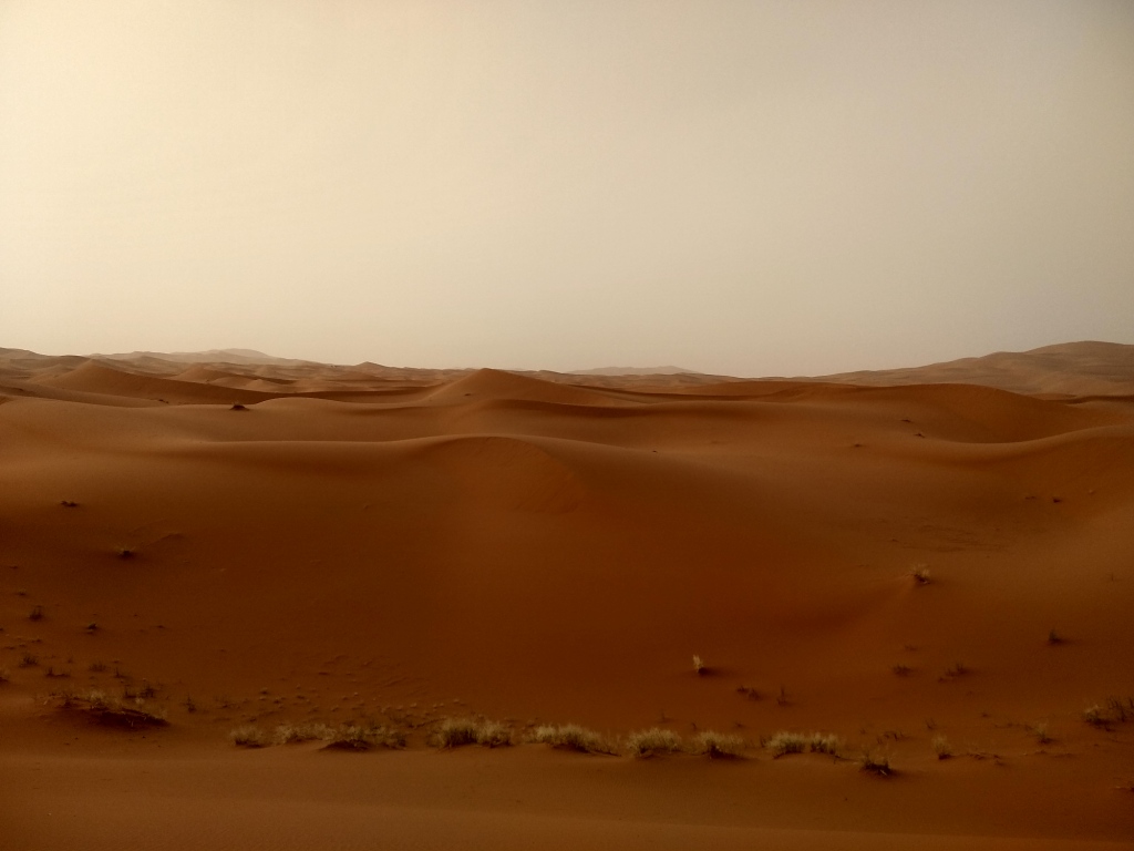 Sahara.jpg