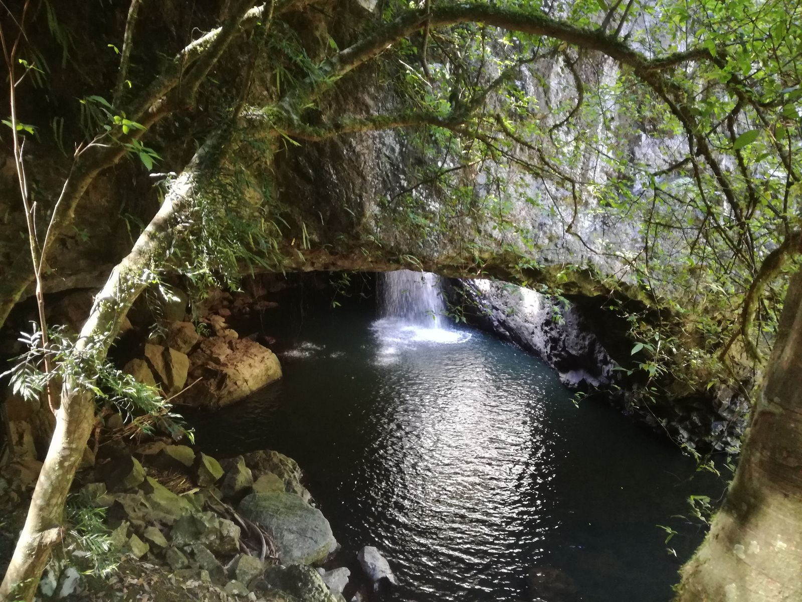 IMG_20181126_085723 Natural Bridge.jpg