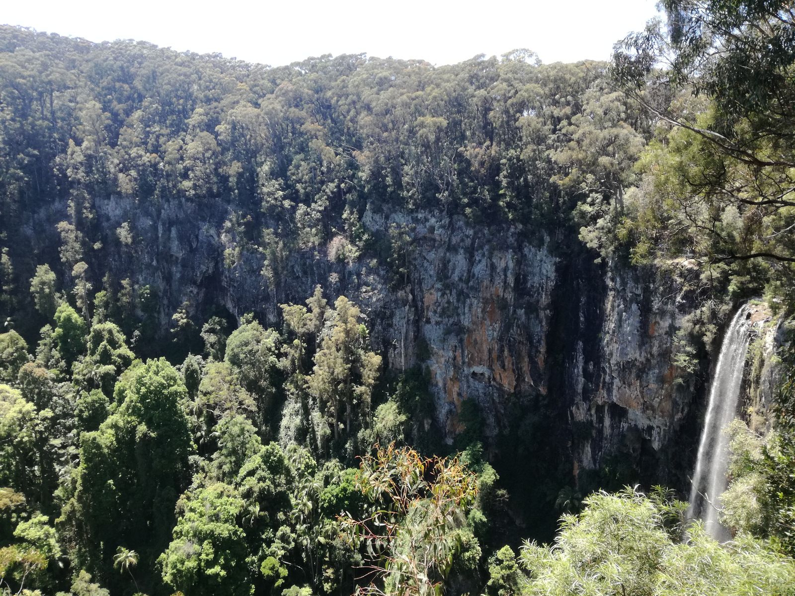 IMG_20181126_102409 Springbrook National Park - widok na Purling Brook Falls.jpg