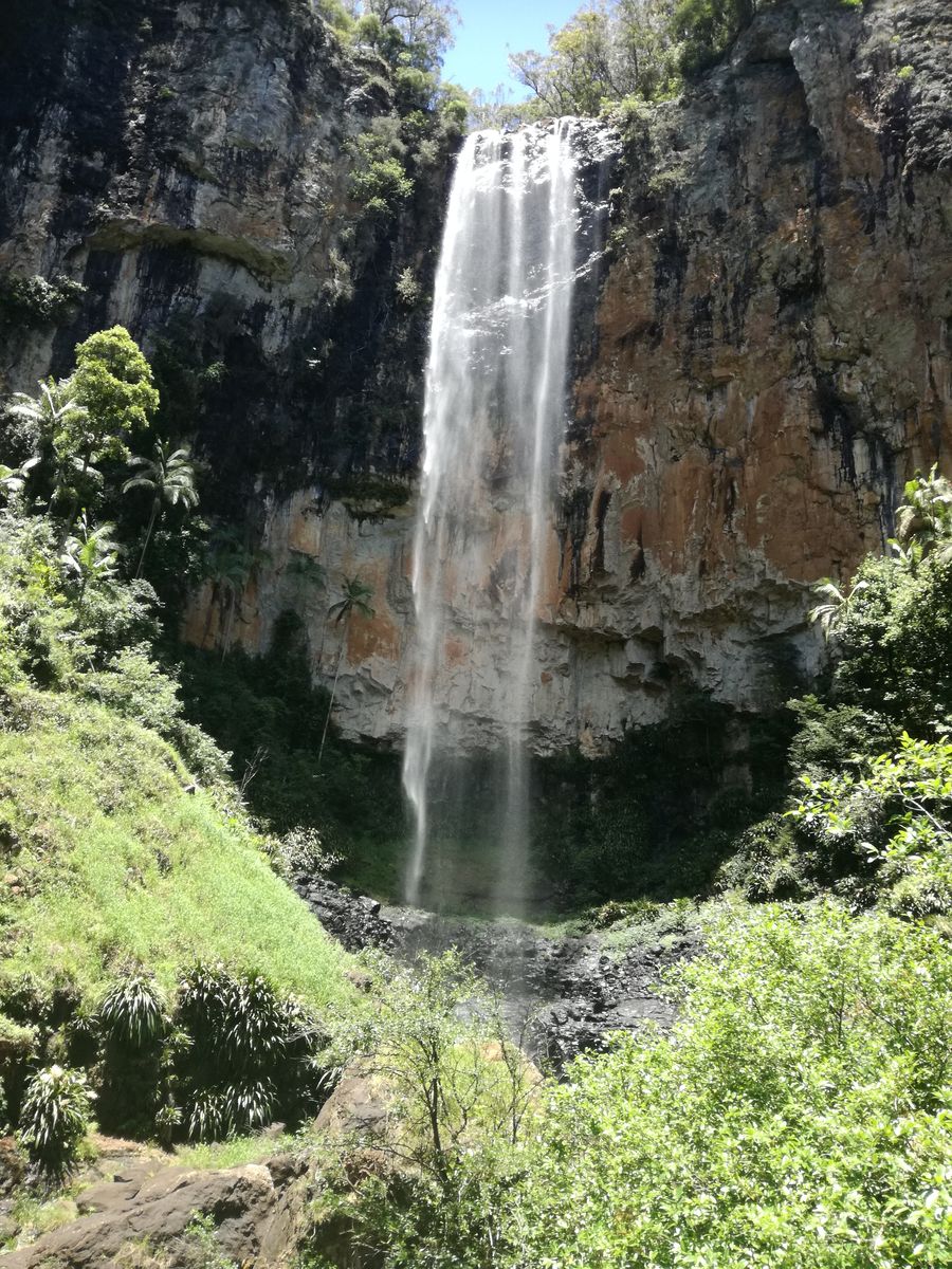 IMG_20181126_111528 Springbrook National Park - Purling Brook Falls.jpg