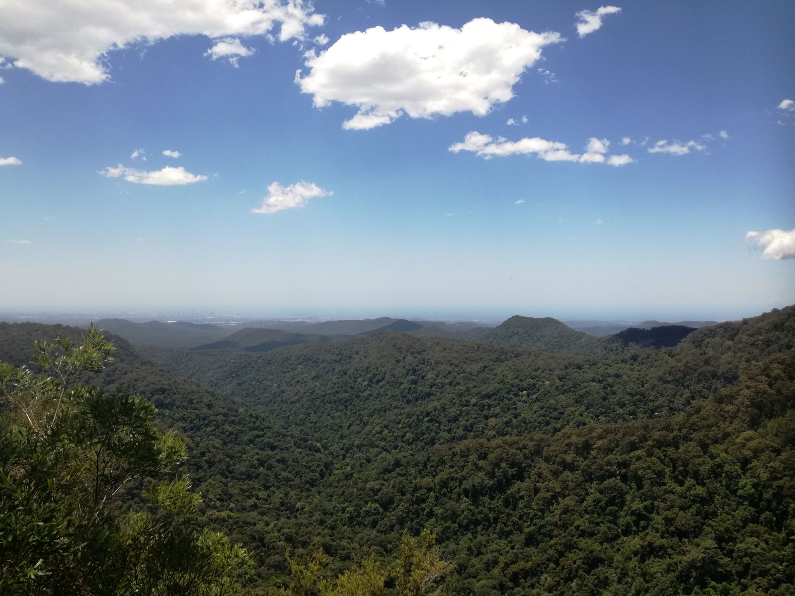 IMG_20181126_120835 Springbrook National Park Canyon Lookout.jpg
