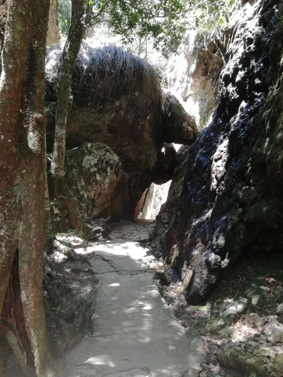 IMG_20181126_122839 Sprinbrook National Park.jpg