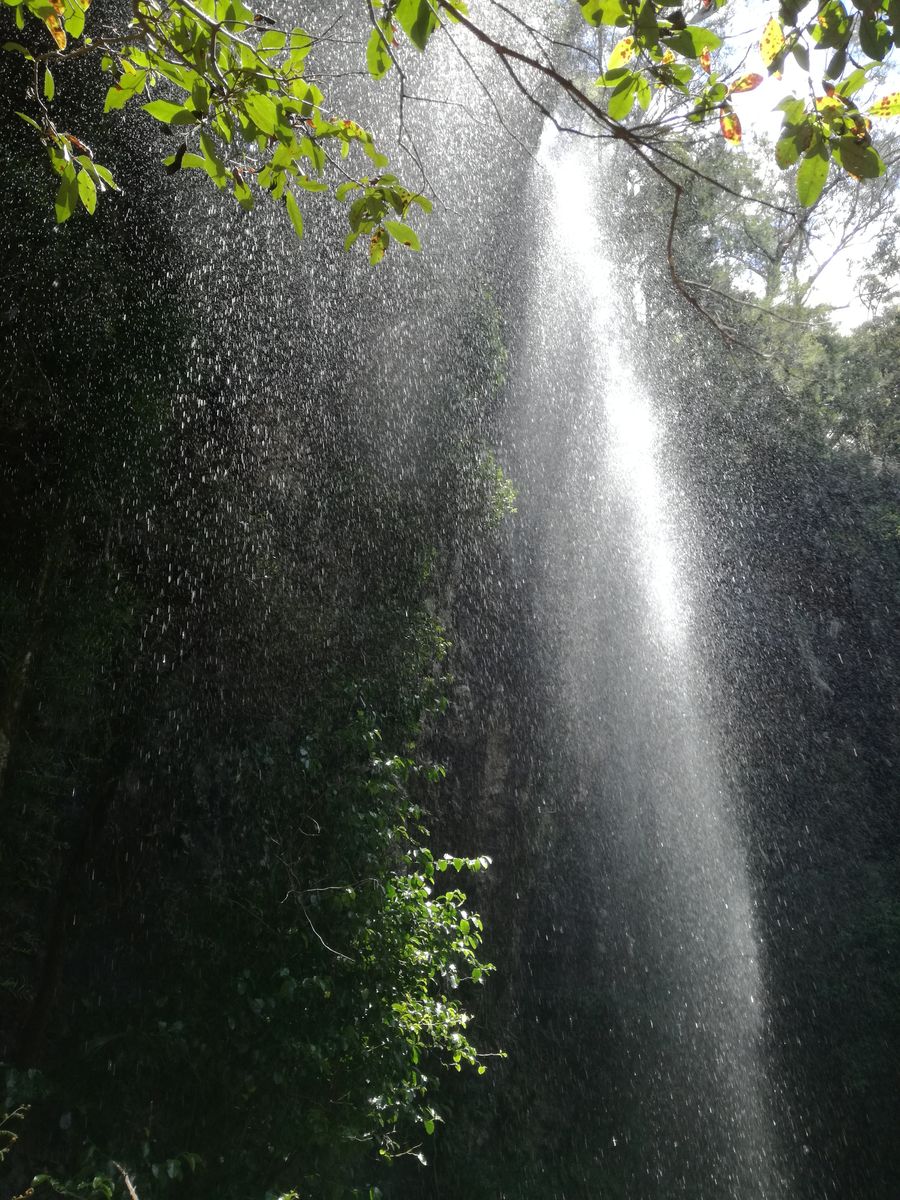 IMG_20181126_123947 Sprinbrook National Park Twin Falls.jpg