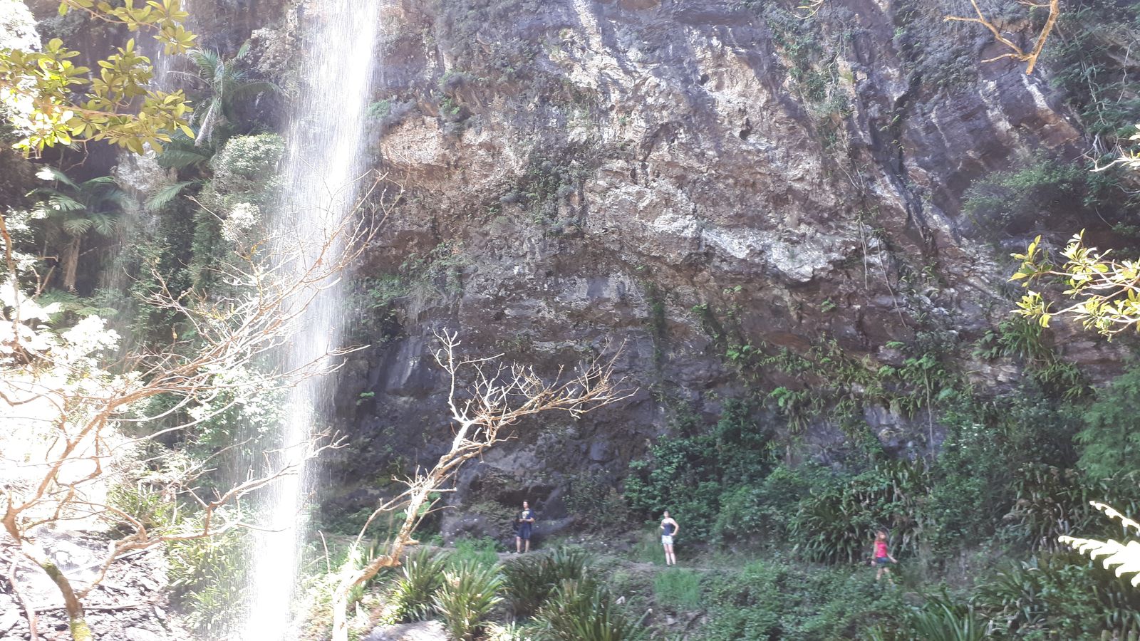 IMG_20181126_124134 Sprinbrook National Park Twin Falls.jpg