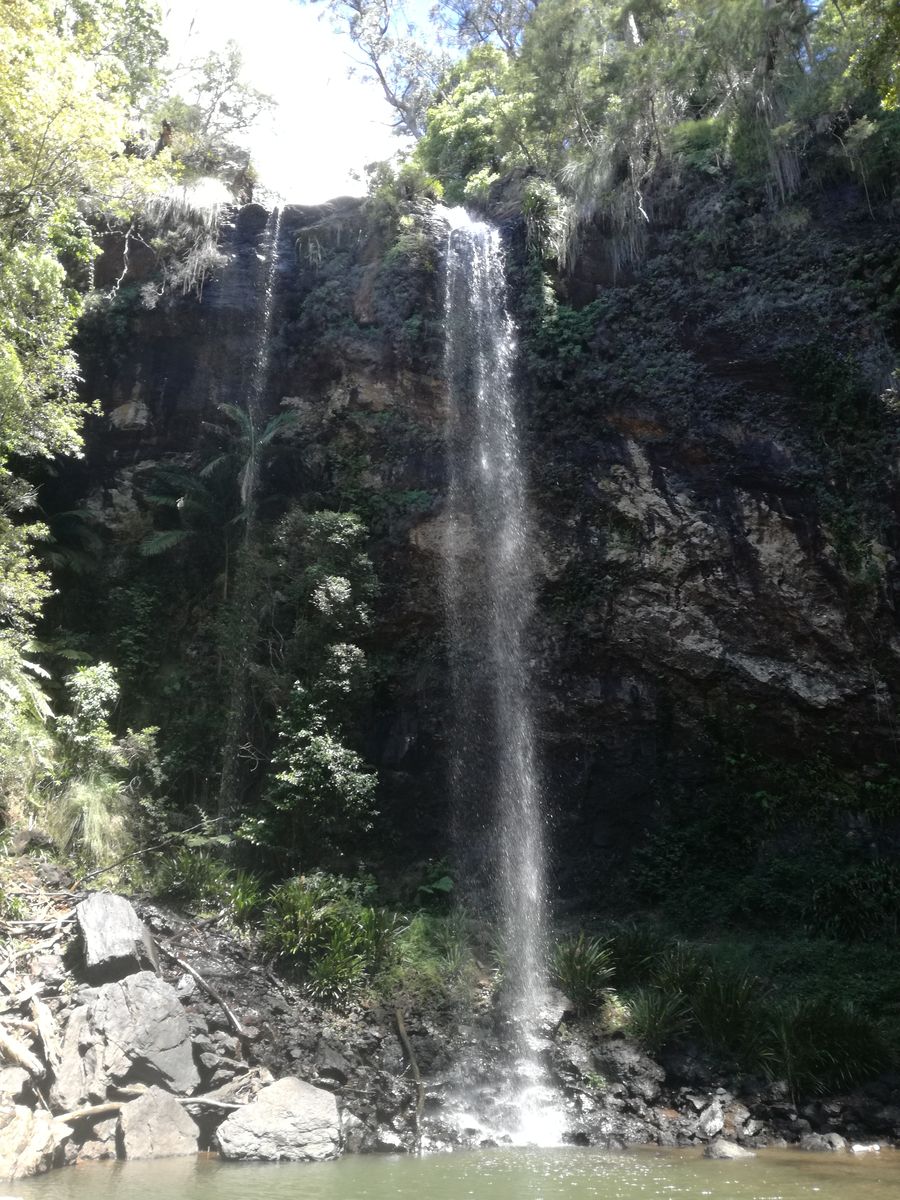 IMG_20181126_124416 Sprinbrook National Park Twin Falls.jpg