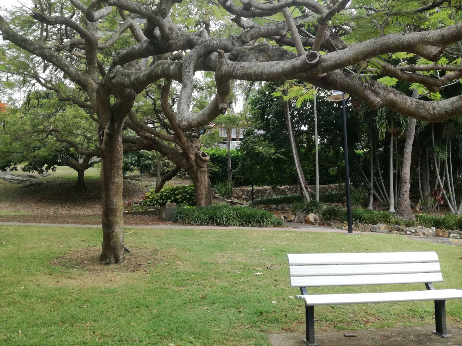 IMG_20181127_100344 Brisbane Kangaroo Point.jpg