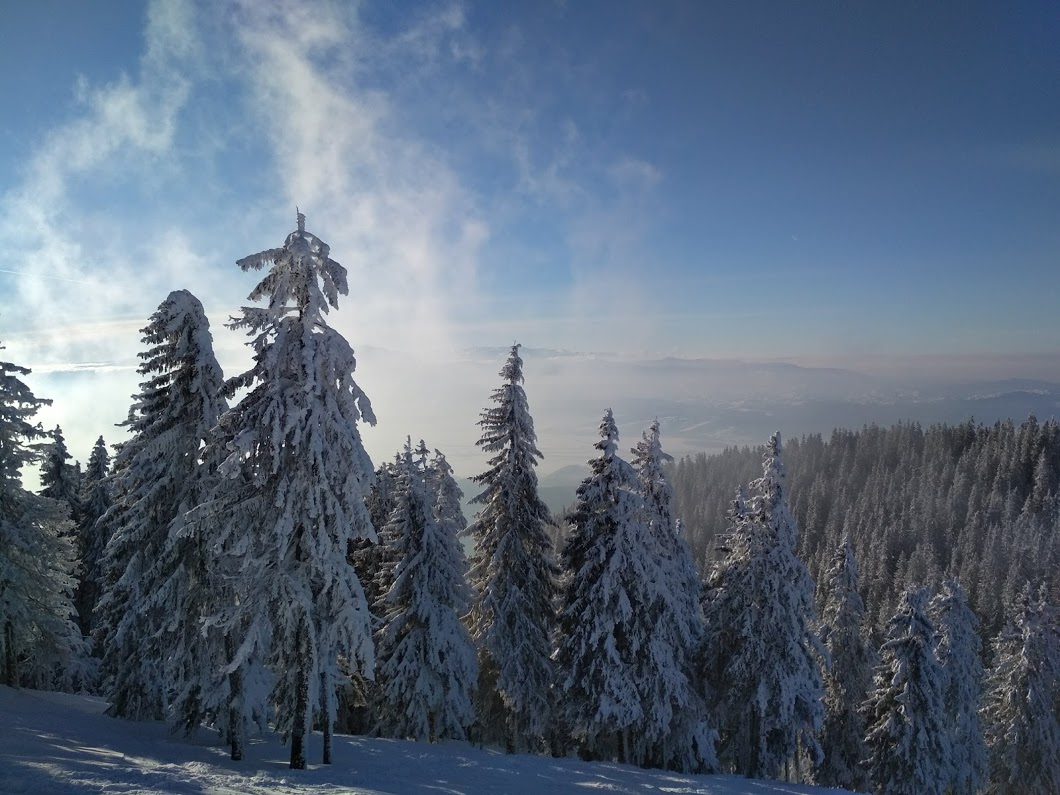 Poinana Brasov.jpg