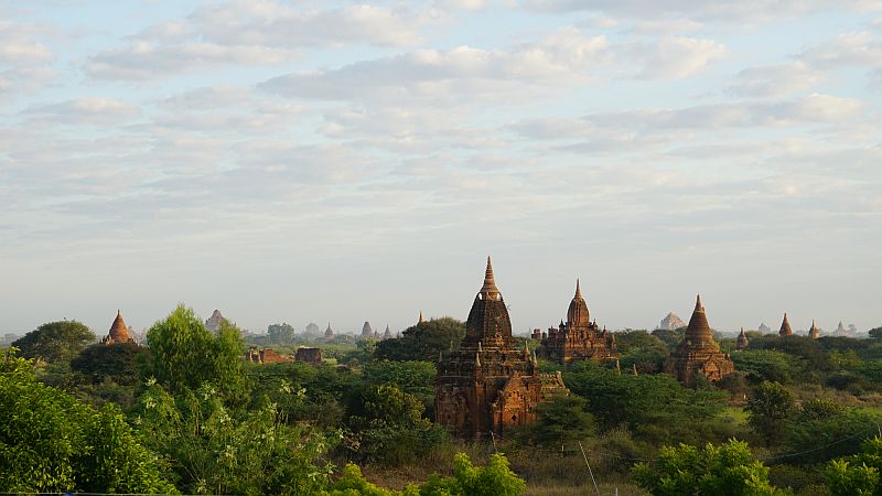 DSC09698.JPG
