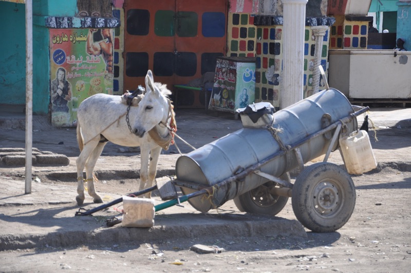 DSC_0471.JPG