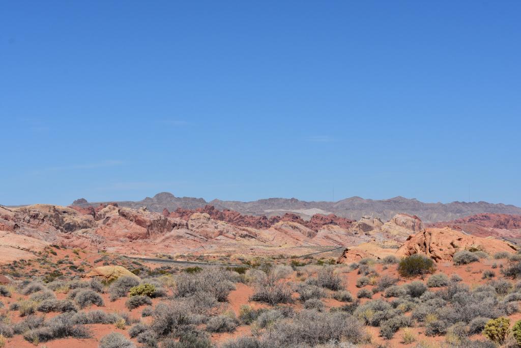 DSC_0549.JPG
