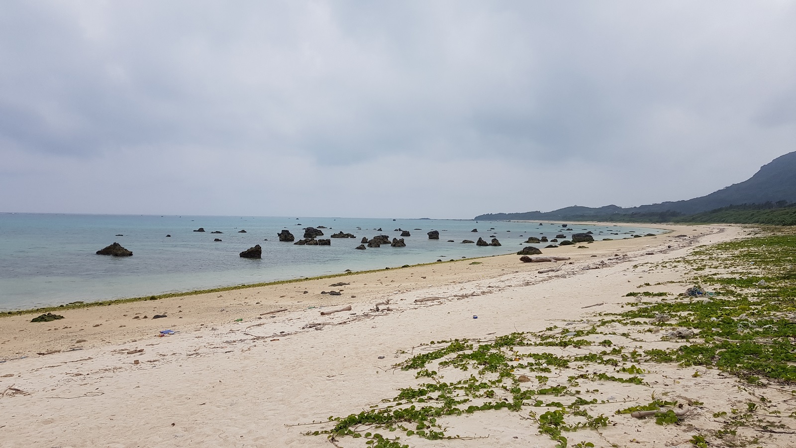 20180220_145441.jpg