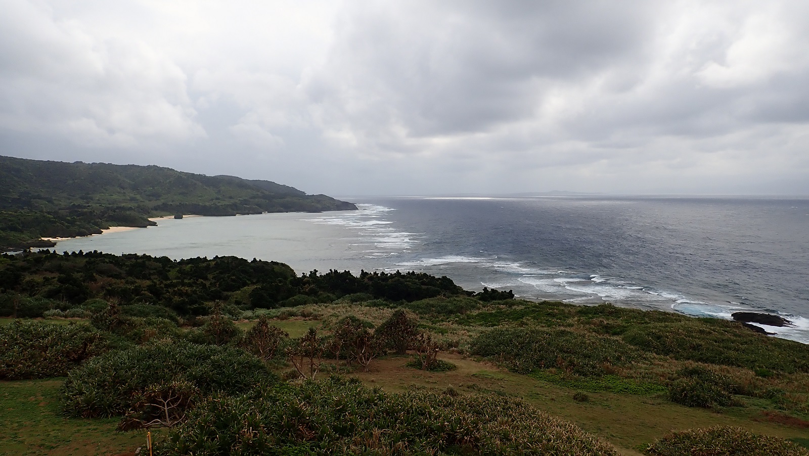 P2212399.JPG