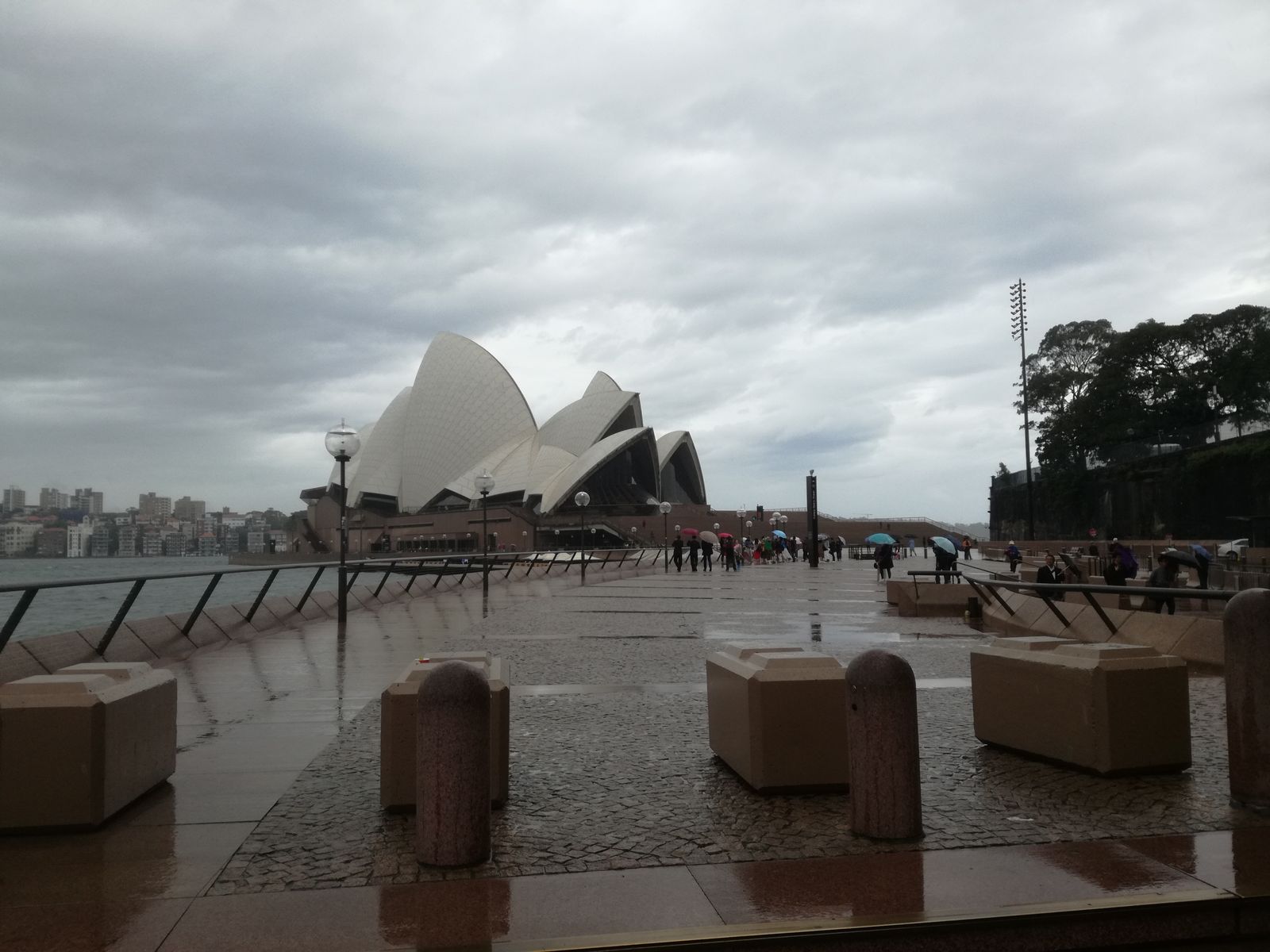 Opera w Sydney - w deszczu.jpg