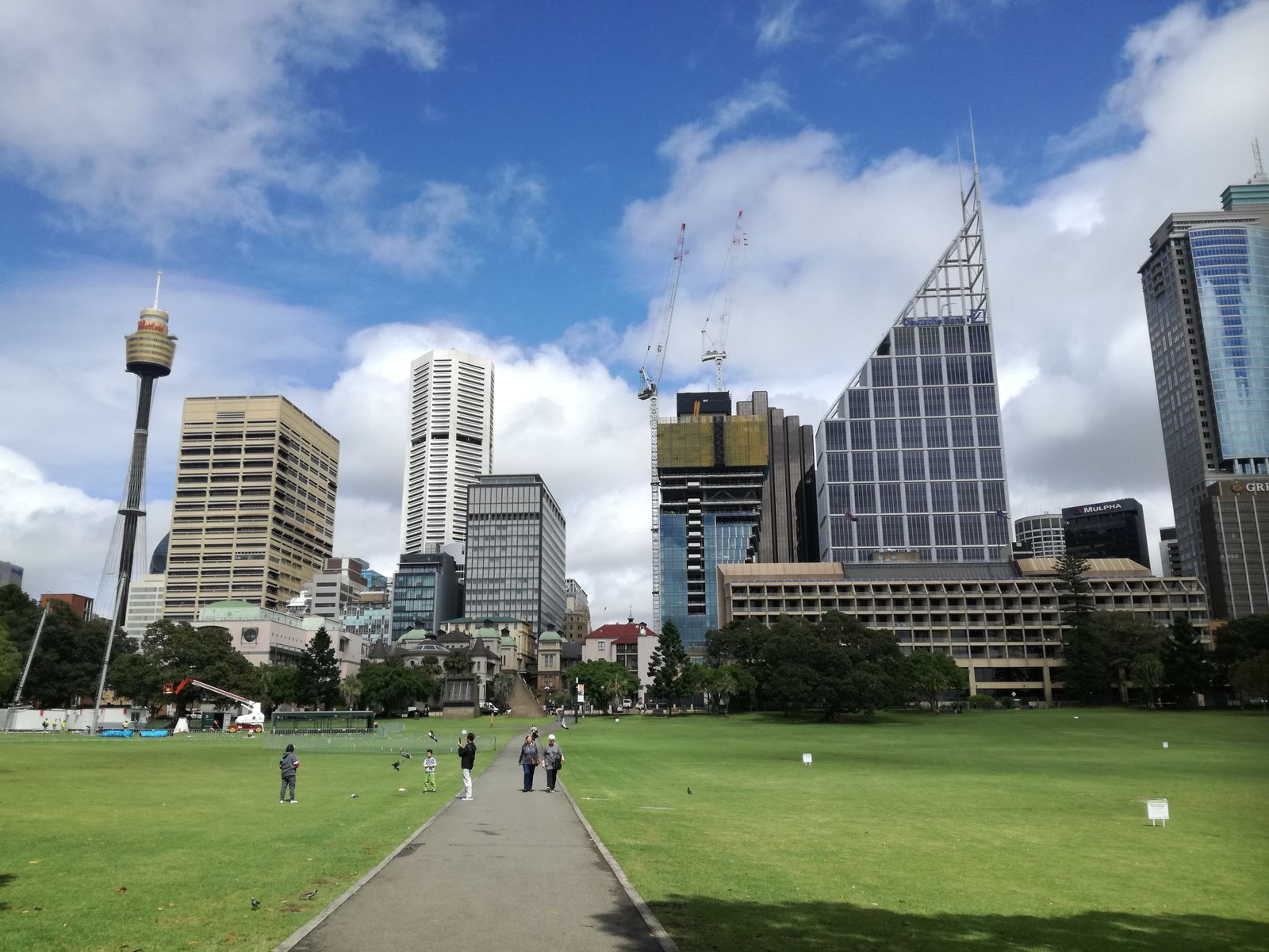 Park Domain.jpg