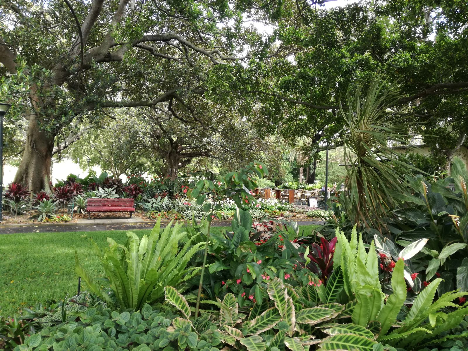 Park Domain2.jpg