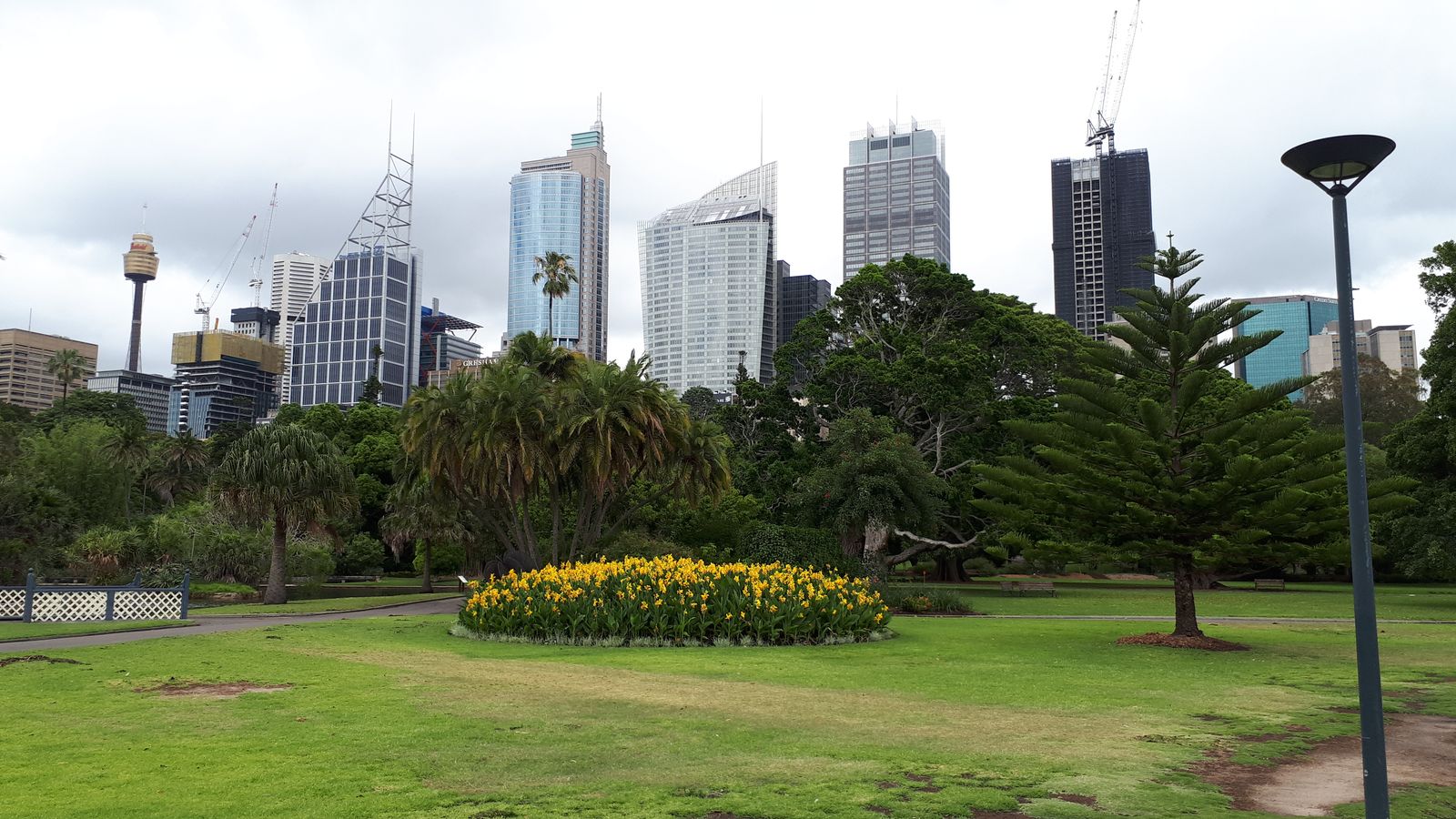 Royal Botanic Garden.jpg