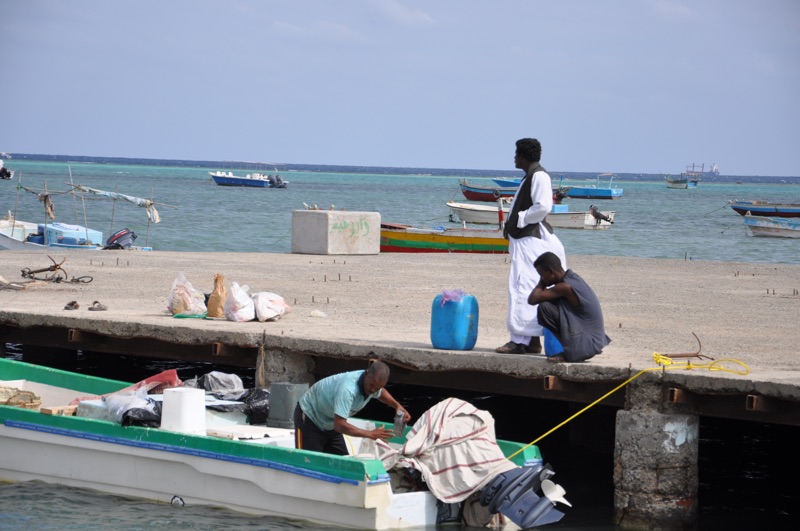 DSC_0482.JPG