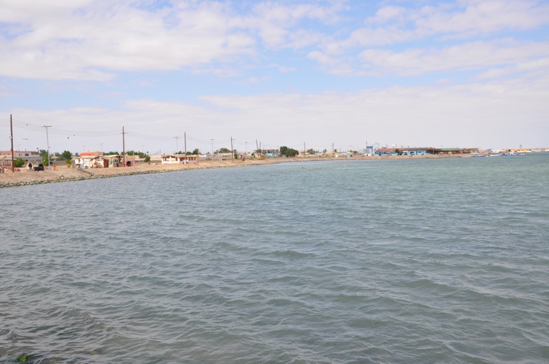 DSC_0485.JPG