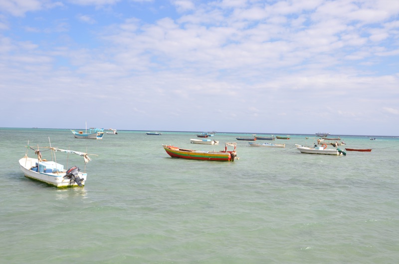 DSC_0486.JPG