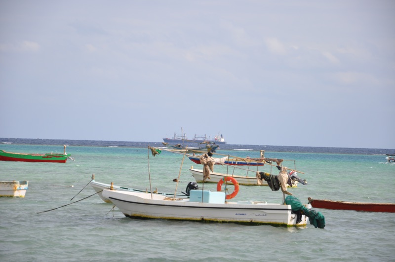 DSC_0488.JPG