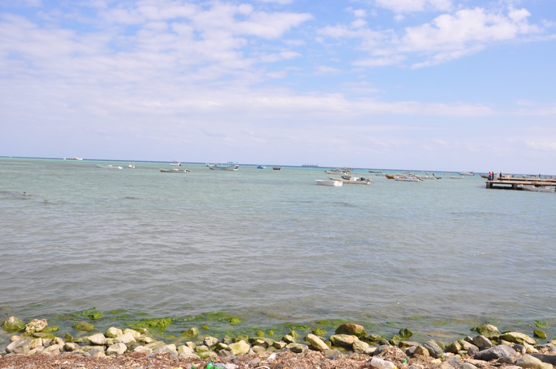 DSC_0492.JPG