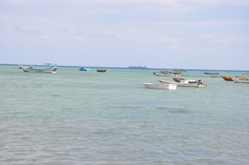 DSC_0493.JPG