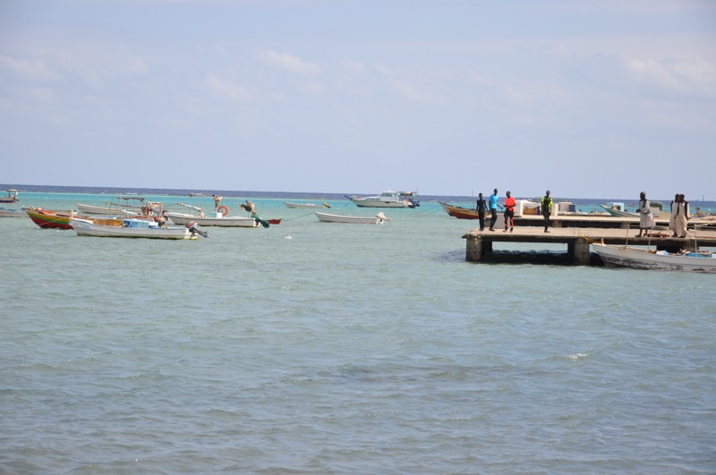 DSC_0494.JPG