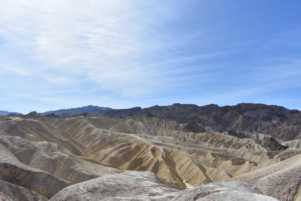 DSC_0655.JPG