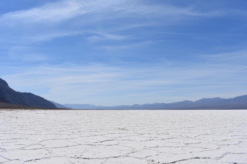 DSC_0684.JPG