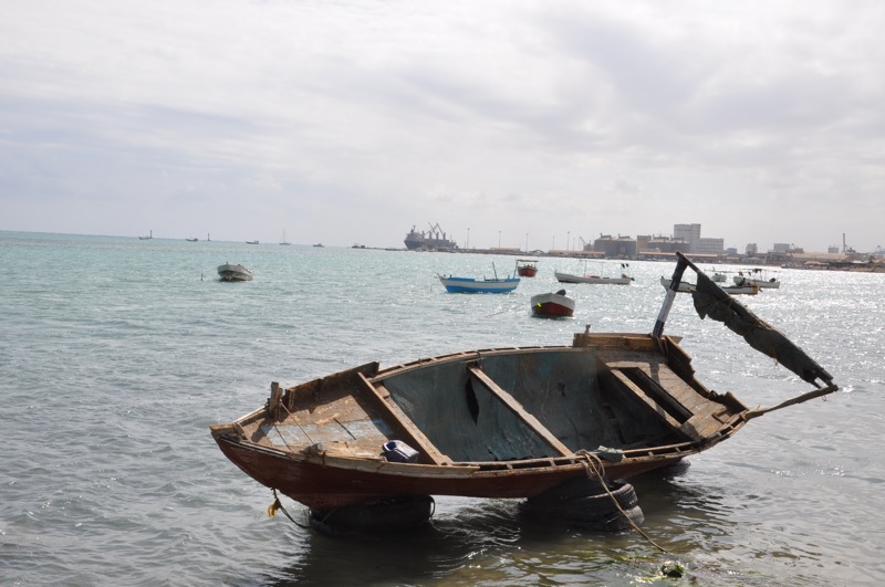DSC_0511.JPG