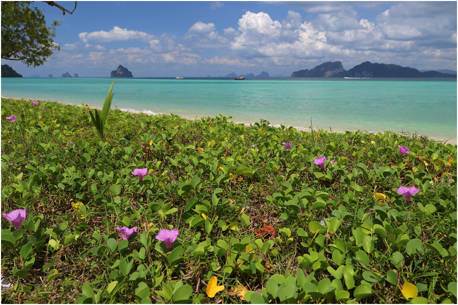 Koh-Kradan-2.jpg