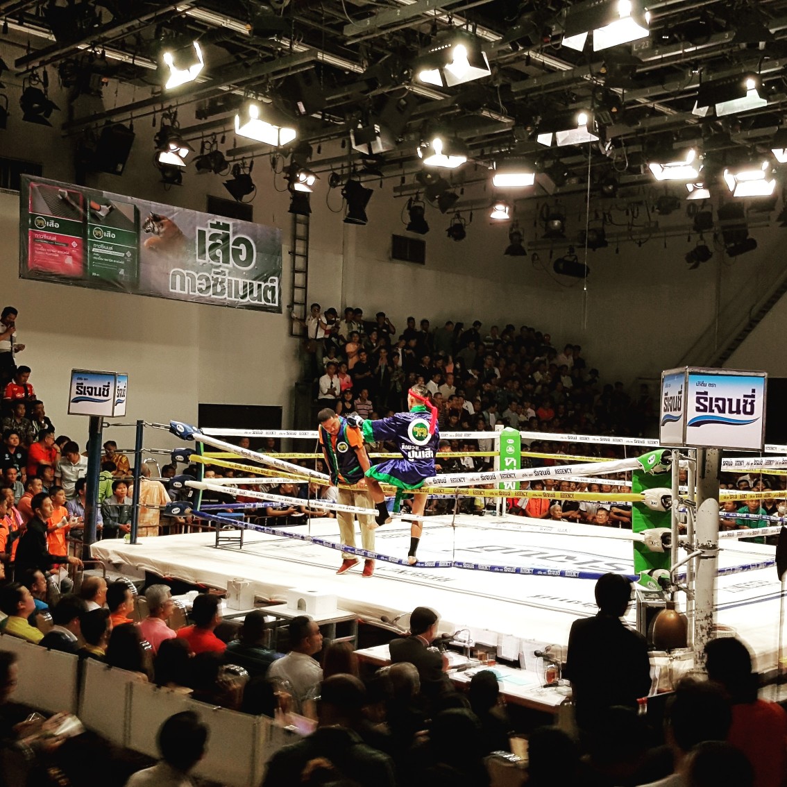 IMG_20190120_221745_098-1134x1134.jpg