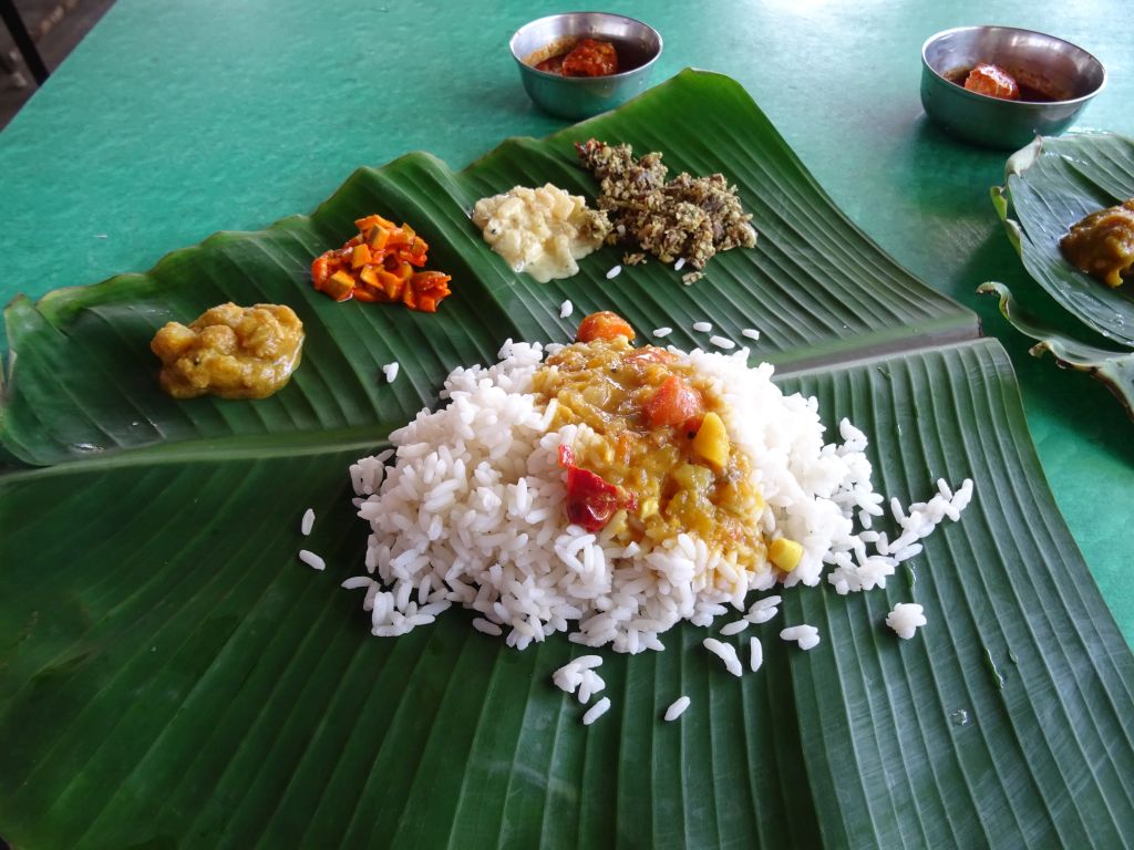Kerala020.jpg