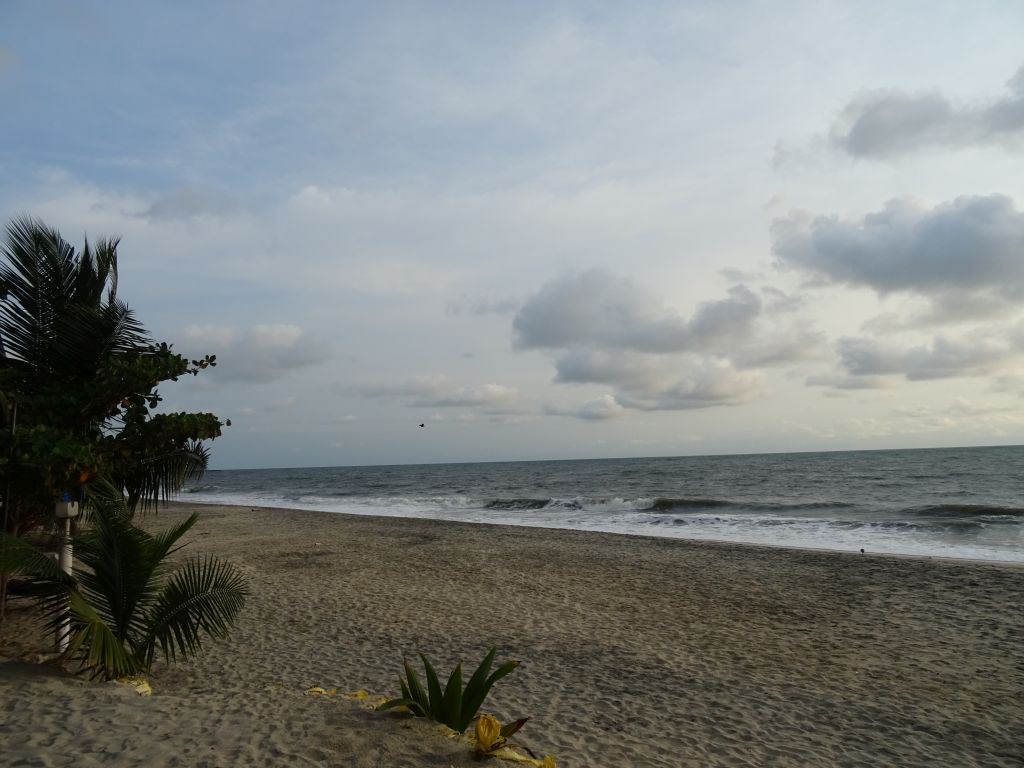 Kerala024.jpg