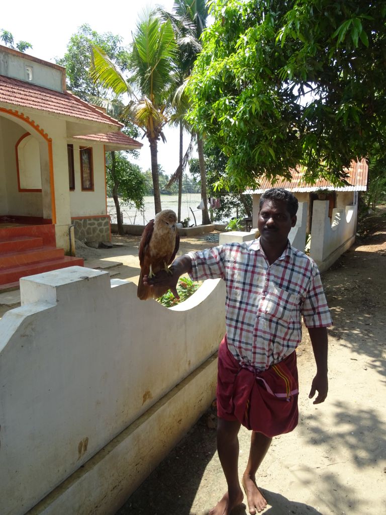 Kerala031.jpg