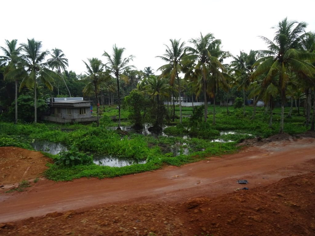 Kerala036.jpg