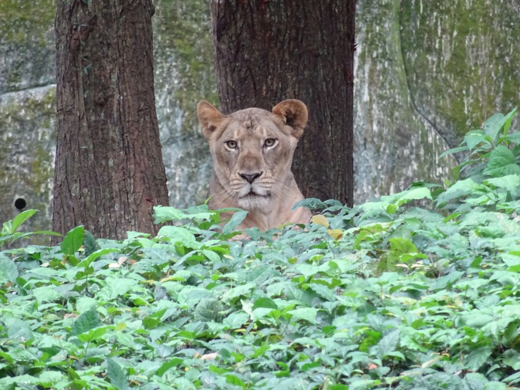 Kerala045.jpg