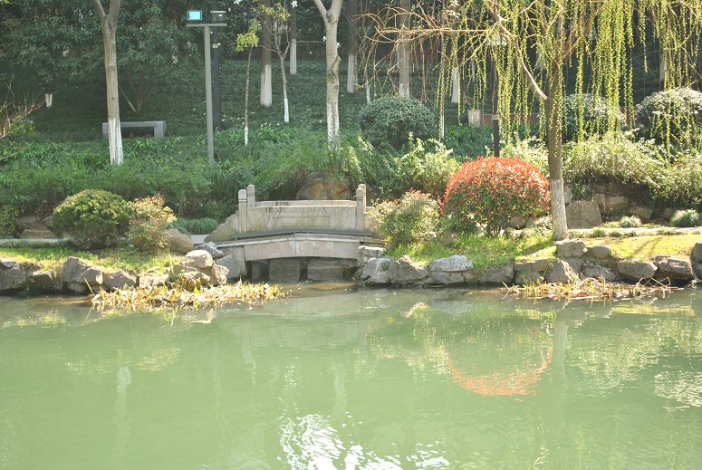 DSC_0962.JPG