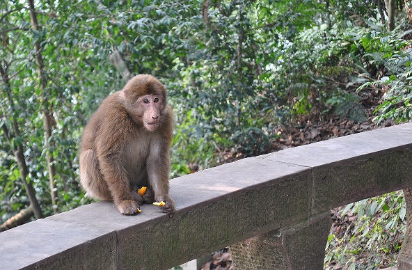 DSC_0173.JPG