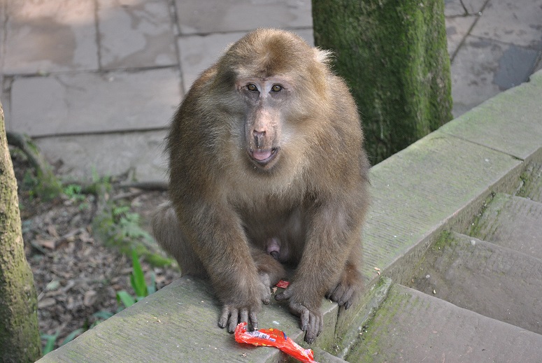 DSC_0222.JPG