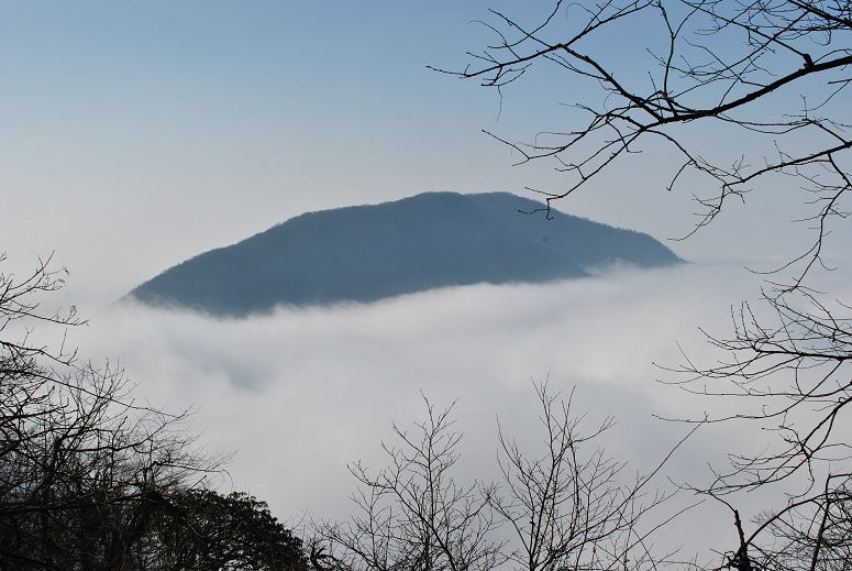 DSC_0308.JPG