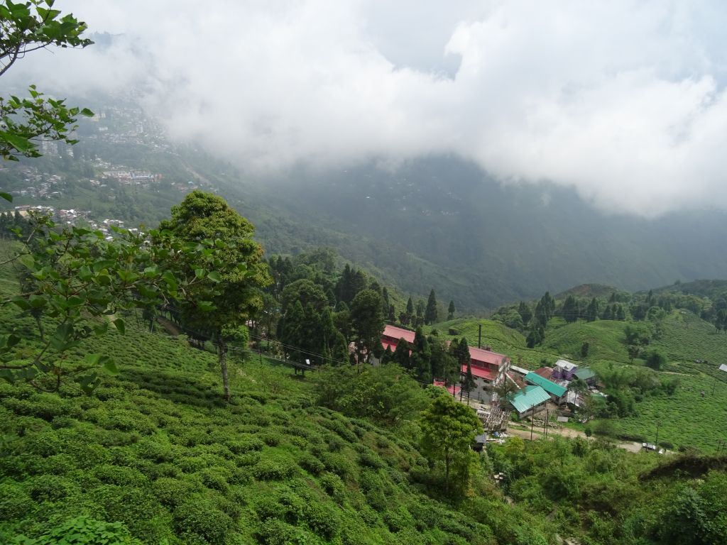 Darjeeling015.jpg