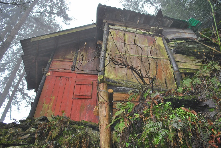 DSC_0550.JPG