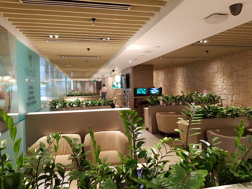20190206_175126.jpg