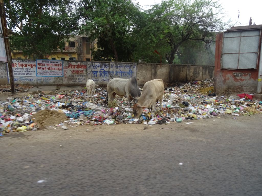 Agra018.jpg