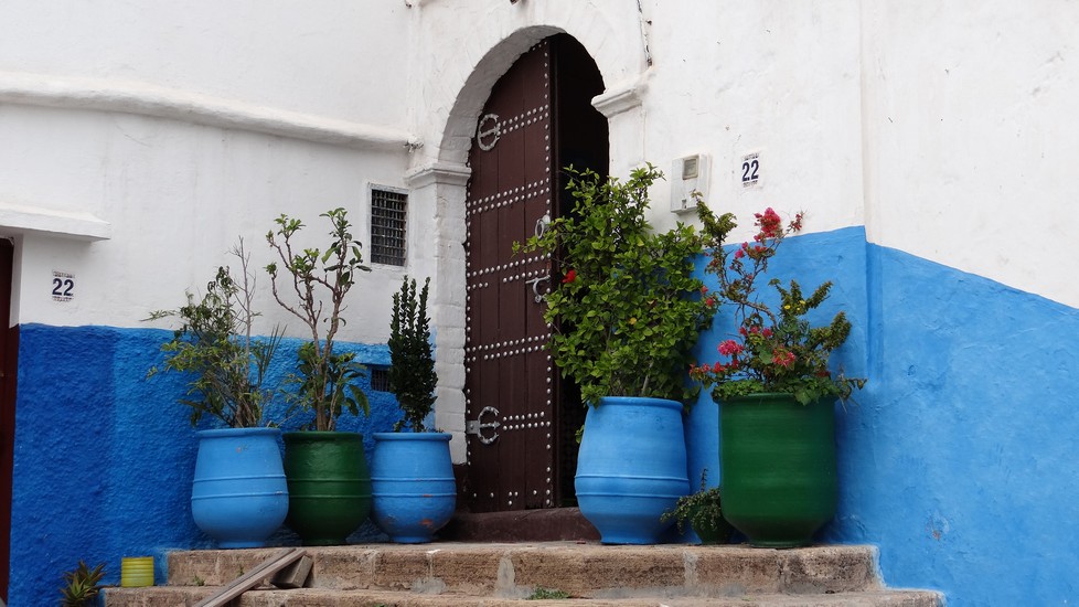 medina2.jpg